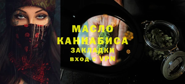 гидра Инсар