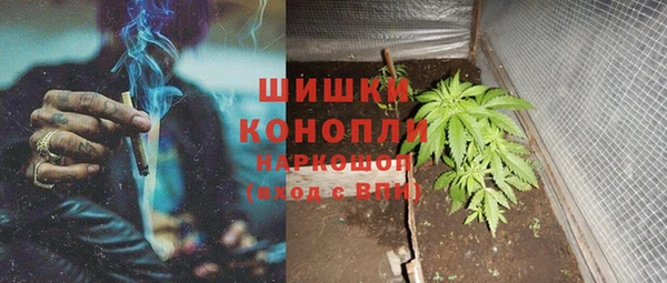 spice Россошь