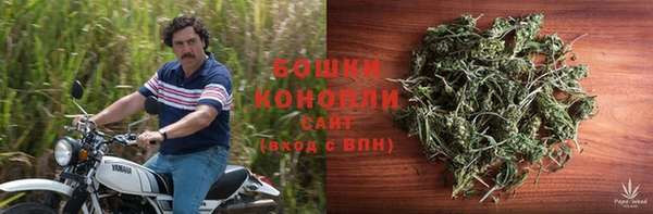 винт Рославль