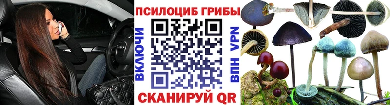 закладки  Славск  Псилоцибиновые грибы мухоморы 