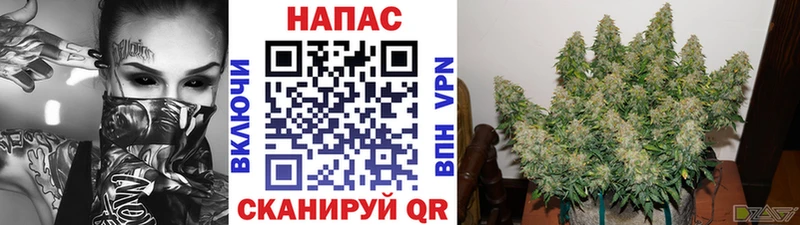 darknet телеграм  Славск  Марихуана гибрид 